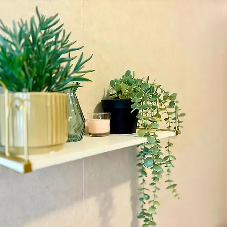 The Cozy Breeze Apartament *