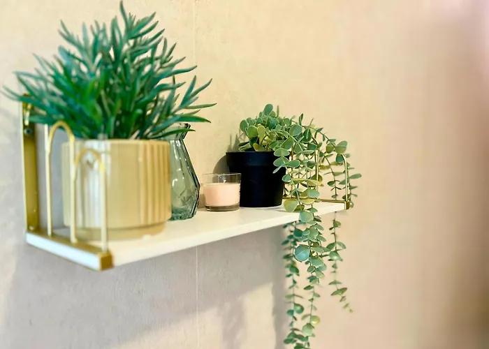 The Cozy Breeze Апартаменты *